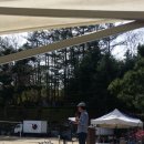 신송초등학교 이미지