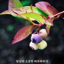 영장공원 이미지