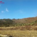 어등산주유소 이미지