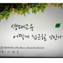 파란마음 유치원 Daum카페