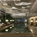 파이브오션 | 부산 파크하얏트 고층 오션전망 킹 객실 2박 후기 (수영장, 헬스장, 리빙룸 파이브 투 세븐, 조식까지!)