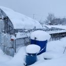 팔덕면사무소 이미지