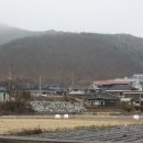 청기면사무소 이미지