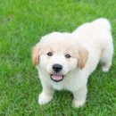 서산동물병원 이미지