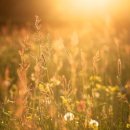 정메디케어 이미지