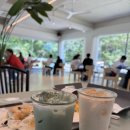 백양사진입로 | [공지] 🎯 2025 장성 백양사 단풍, 놓치면 후회할 인생샷 명소 (Feat. 최신 개화 현황)