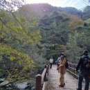 길따라행복 | 남원 지리산 구룡폭포길 행복걷기 참여후기