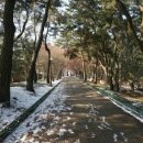 정화이동통신 이미지