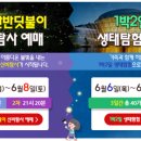 사)무주반딧불축제제전위원회 이미지