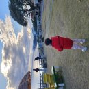 제주도 왔어요 &amp; 독감조심하세요 이미지