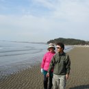 해송 - 군산시 서수송1길 12-5 | 해송