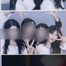 바이로하 이미지