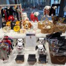 주식회사 펫인사이드 이미지