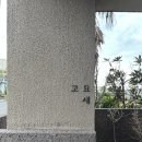 고요새 | 제주 삼양 고요한 감성 카페 고요새 후기
