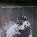 오동동 문화광장 이미지