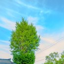 우보스테이 이미지