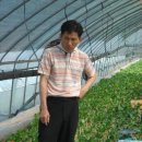 용일농장 이미지