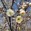 동검리 경로당 이미지