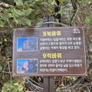 양길리 주차장 이미지