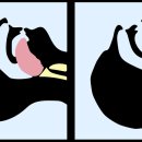 낙성대한의원 이미지