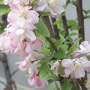 한우리교회 이미지