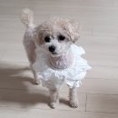 육일군 수라간 이미지