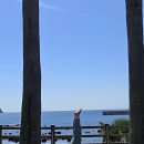 문스짐(Moon`s Gym) | 문창수 요가 원데이클래스 : 편안한 하루 위한 서귀포 요가