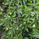 생태와 기후변화이야기 이미지