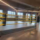 한국복싱다이어트 이미지