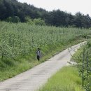 만산농장 이미지