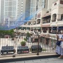 다운식당 이미지