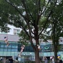 방이2동주민센터 이미지