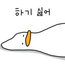 둔곡경로당 네이버블로그