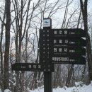 송리농장 Daum카페