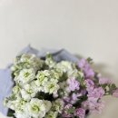 꽃 | 가성비 생화 꽃🌷 사진보다 실물이 낫다?! 플로르엣몰 꽃 후기 공개