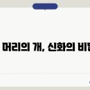 신화랑 이미지