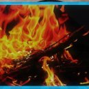 솔밭공원2 이미지