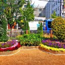 수인선 바람길 숲 이미지