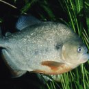 마옥환경 이미지