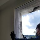 휴먼스테이 블루 이미지