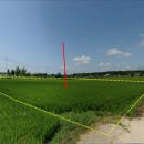 천남초등학교 이미지