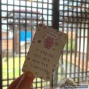 충남 공주 1박2일 (로컬파스타, 금성동, 공산성, 부자떡집, 생동식당, 베이커리 밤마을, 공주산성시장)