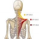 휘트니스 에스온 이미지