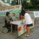 피노키오자립생활센터 이미지