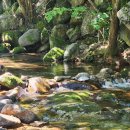 샬롬세탁소 | 소백산 바로 아래에서 진짜 힐링한 숙박 후기! 단양펜션 찾는다면 이펜션만 한 곳이 또 없어요~<샬롬펜션>