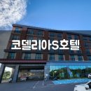 푸른컴퓨터세탁소 | [여름휴가10] 제주도 가성비 호텔, 성산일출봉과 가까운 호텔 &#34;코델리아S호텔&#34; 후기(시설 / 물놀이 / 조식)