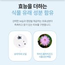 [공지] 미스트 추천 | 애터미 오일미스트 후기 선택 이유
