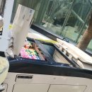 여의도 국제 금융 센터 IFC mall 🇺🇸 한국 야쿠르트 hy 헬리코박터 윌 손흥민 축구 ⚽️ No.1 이미지