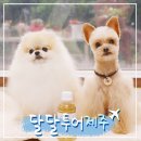 제주놀3320 | 제주도 독채펜션, 애견동반가능한 제주놀3320 대만족쓰