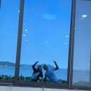 사우스마린스파펜션 이미지